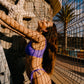 Sports top in purple